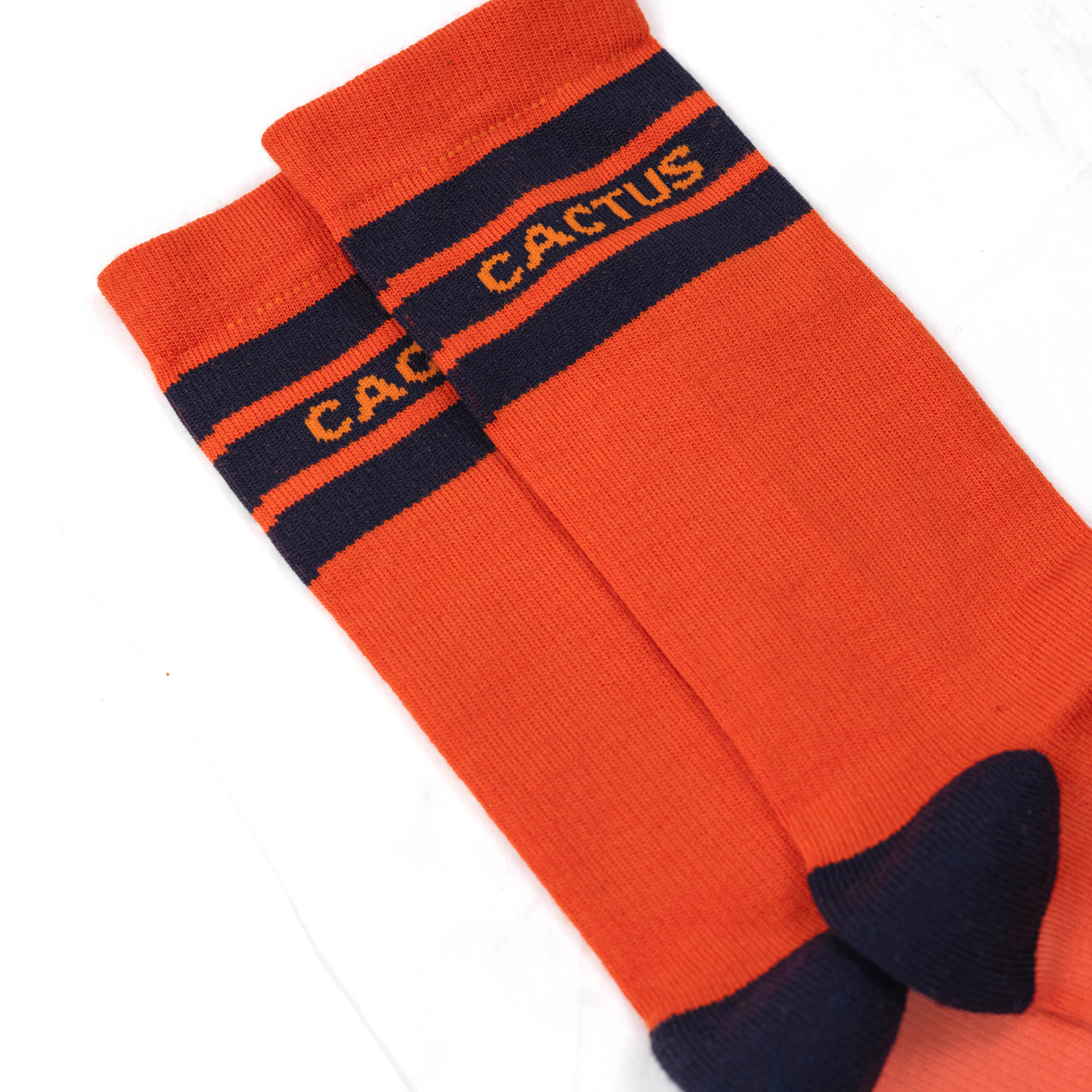 Cactus Baseline Merino Sock - Image 5