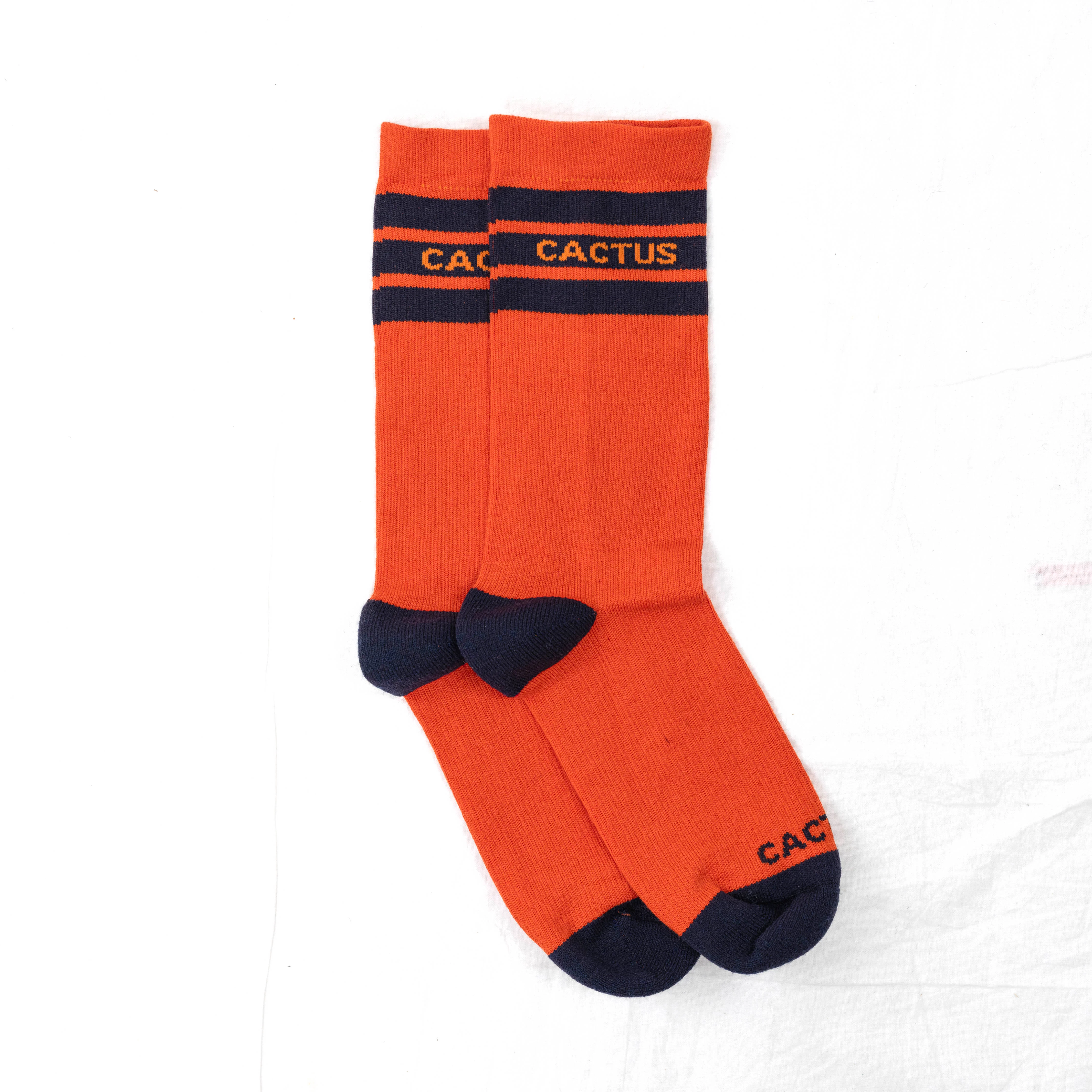 Cactus Baseline Merino Sock - Image 6