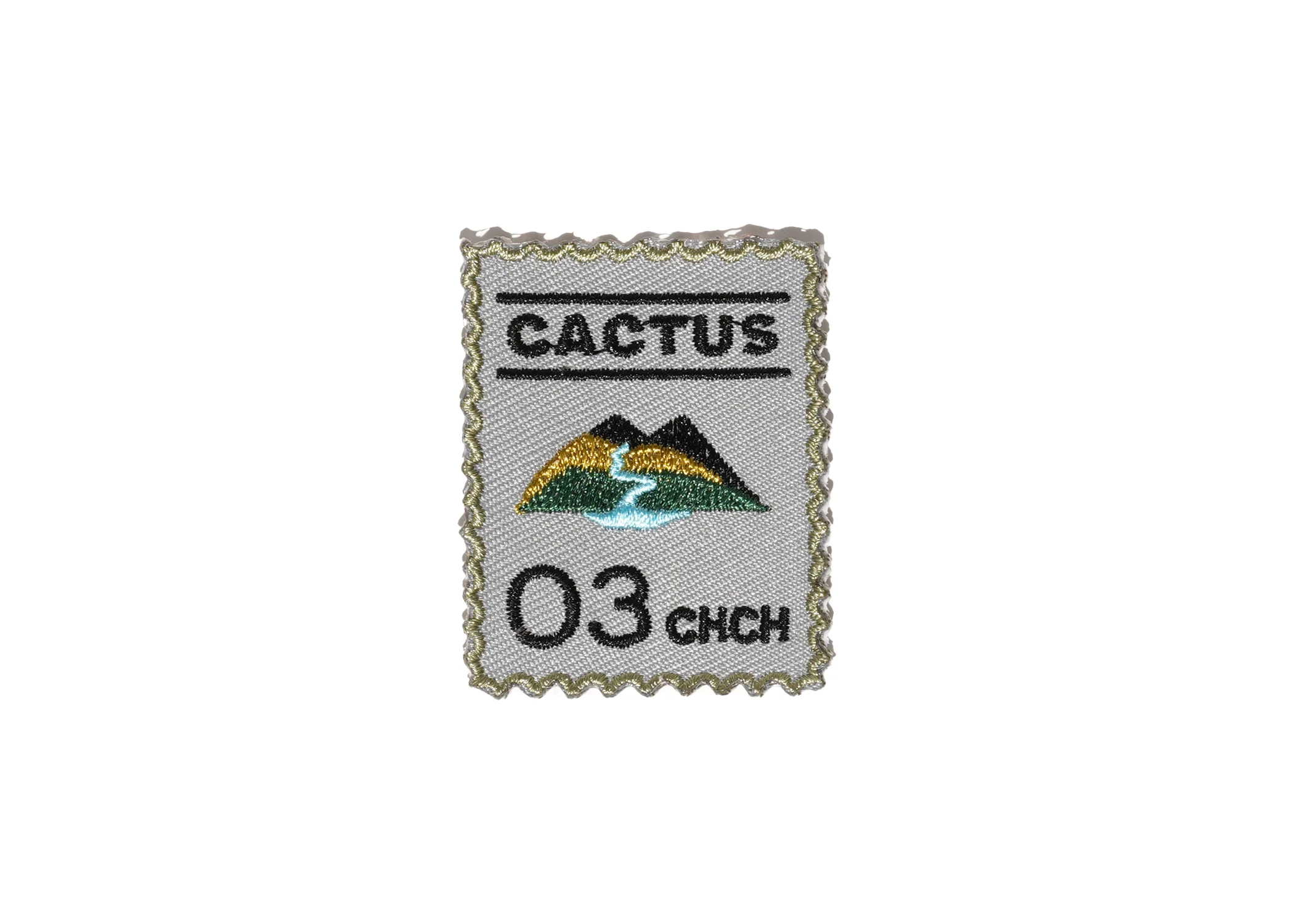 Cactus Embroidered Patch - Image 4