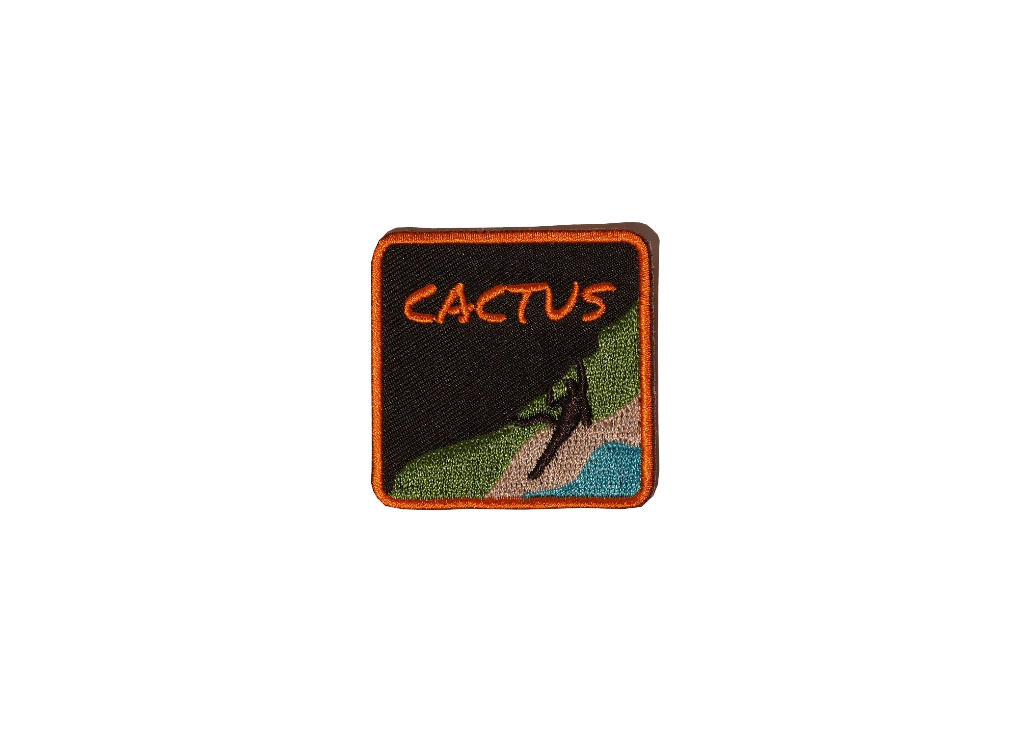 Cactus Embroidered Patch - Image 8